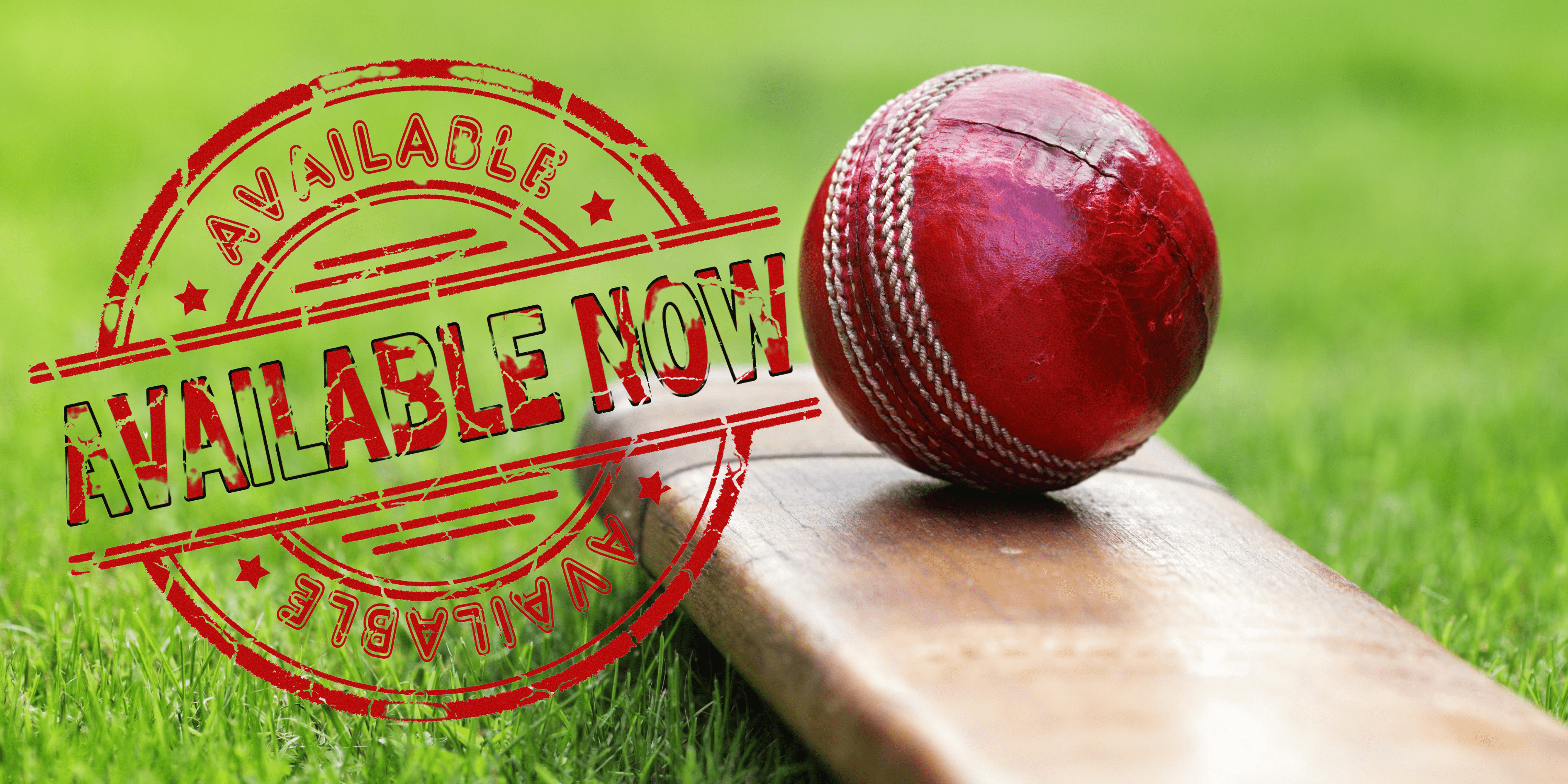 David Alleyne Coaching Times